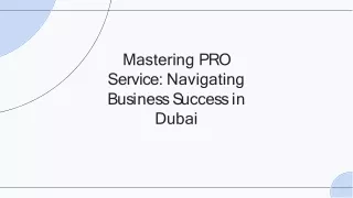 PRO Service in Dubai (2)