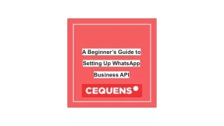 A Beginner’s Guide to Setting Up WhatsApp Business API