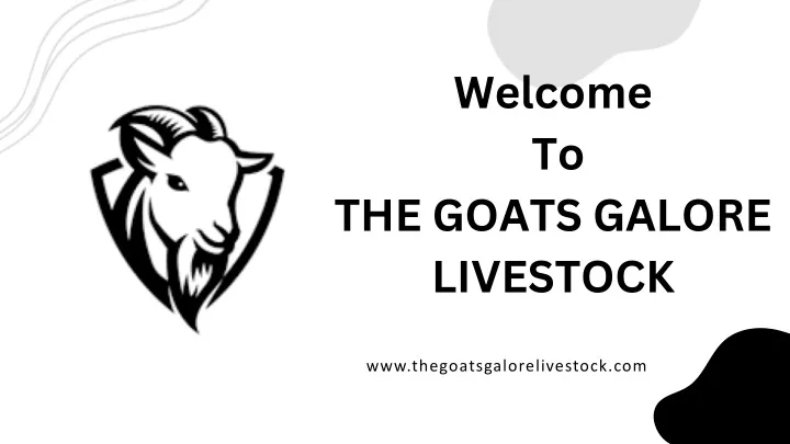 welcome to the goats galore livestock