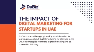 The Impact Of Digital Marketing For Startups In UAE