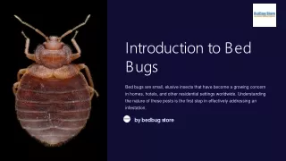 Can UV Light Detect Bed Bugs?