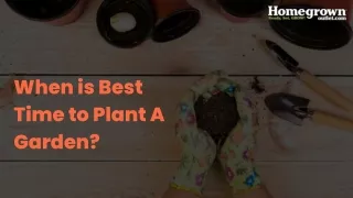 Best Time to Plant A Garden