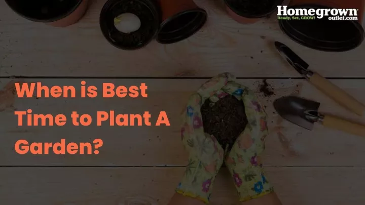 when is best time to plant a garden