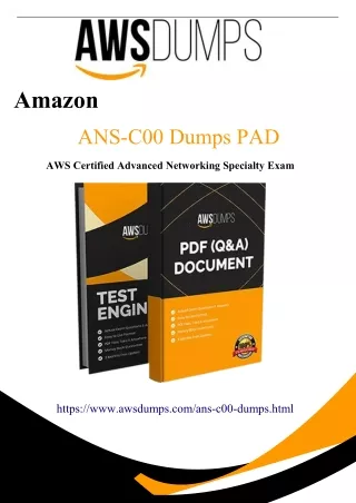 Latest 2024 ANS-C00 Dumps PDF