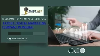 Expert Digital Marketing company in Mohali