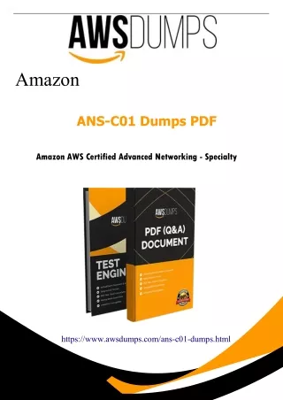 Latest 2024 ANS-C01 Dumps PDF