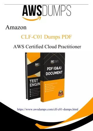 Latest 2024 CLF-C01 Dumps PDF