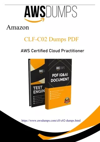 Latest 2024 CLF-C02 Dumps PDF