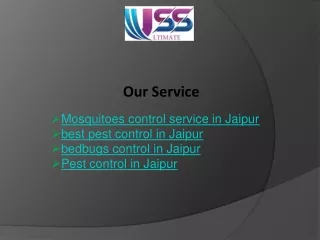 Mosquitoes control service in Jaipur