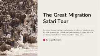 Experience the Wonders of Nature: Great Migration Safari Tours Await!