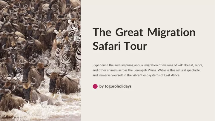 the great migration safari tour