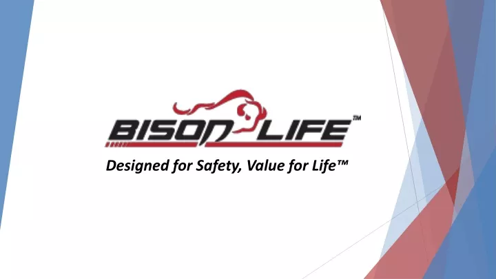 designed for safety value for life