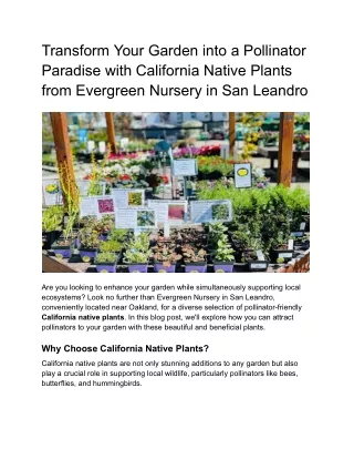 Transform Your Garden into a Pollinator Paradise with California Native Plants from Evergreen Nursery in San Leandro