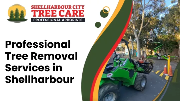 professional tree removal services in shellharbour