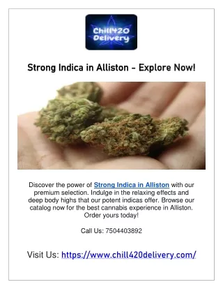 Strong indica in Alliston - Explore Now!