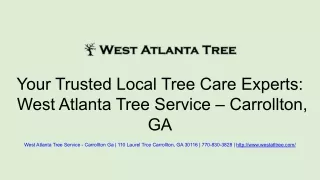 Your Trusted Local Tree Care Experts_ West Atlanta Tree Service – Carrollton, GA