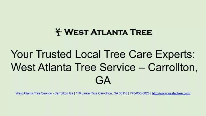 your trusted local tree care experts west atlanta