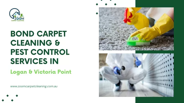bond carpet cleaning pest control services