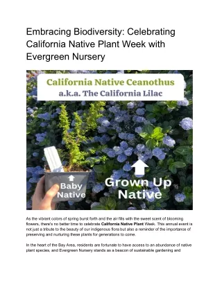 Embracing Biodiversity_ Celebrating California Native Plant Week with Evergreen Nursery