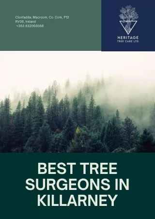 Best tree surgeons in Killarney, Ireland  Heritage Tree Care Ltd