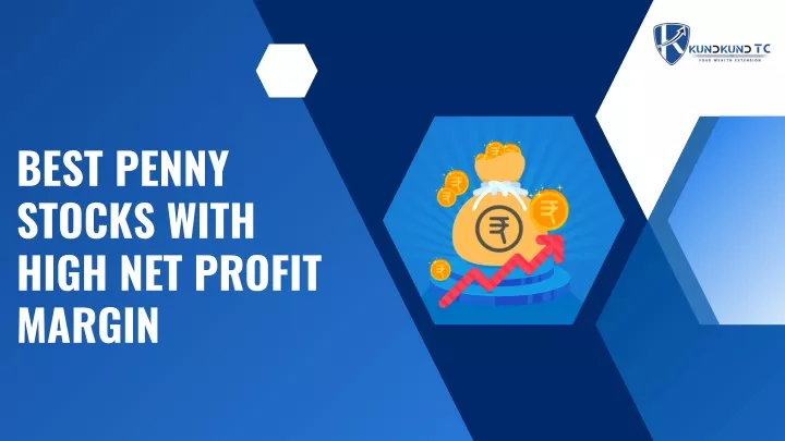 best penny stocks with high net profit margin