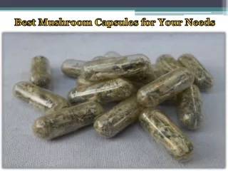 Best Mushroom Capsules for Your Needs