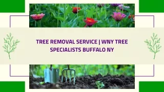 Tree removal service | WNY Tree Specialists Buffalo NY