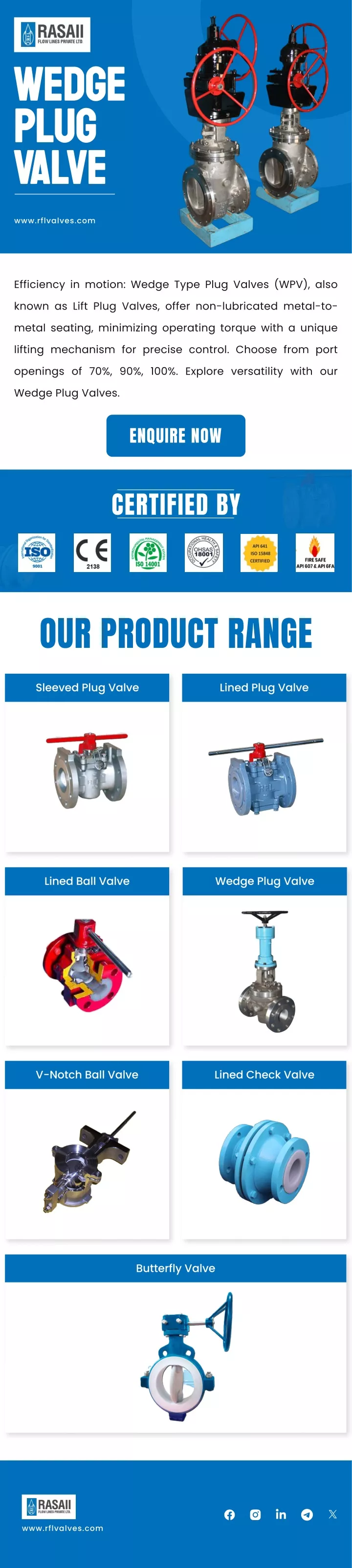 wedge plug valve