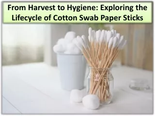 Extracting Cotton For Use In The Manufacturing Of Paper