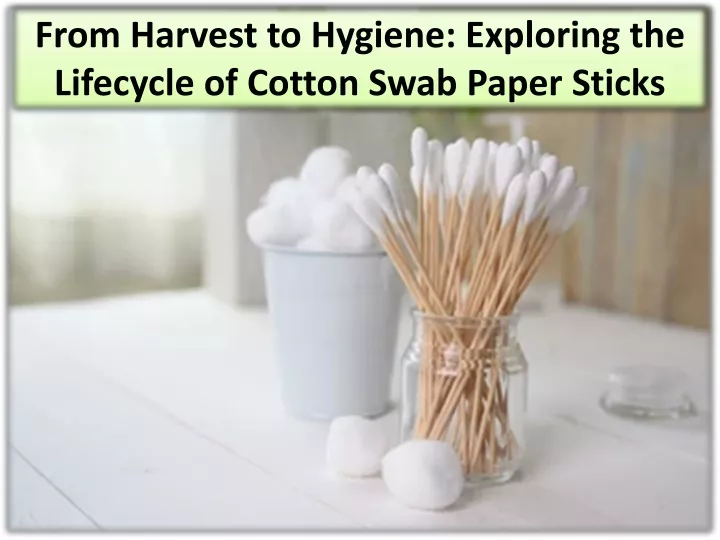 from harvest to hygiene exploring the lifecycle of cotton swab paper sticks