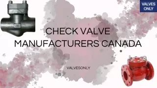 Check Valve Manufacturers Canada