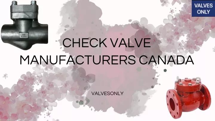 check valve manufacturers canada