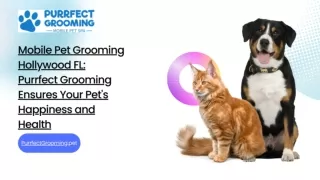 Mobile Pet Grooming Hollywood FL: Purrfect Grooming Ensures Your Pet's Happiness