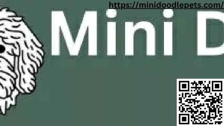 https minidoodlepets com