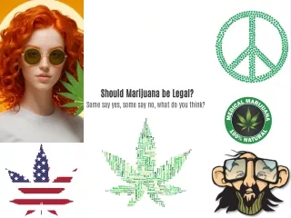 Marijuana debate