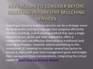 Key Factors to Consider Before Investing in Forestry