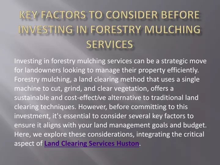 key factors to consider before investing in forestry mulching services