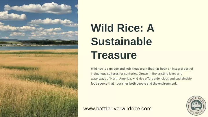 wild rice a sustainable treasure