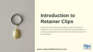 Retainer Clips