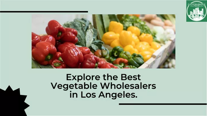 explore the best vegetable wholesalers