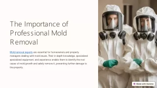 The-Importance-of-Professional-Mold-Removal (1) (1)