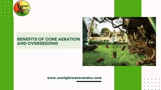 Benefits of Core Aeration and Overseeding