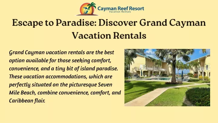 escape to paradise discover grand cayman vacation