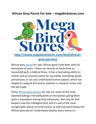 African Grey Parrot For Sale – megabirdstores.com