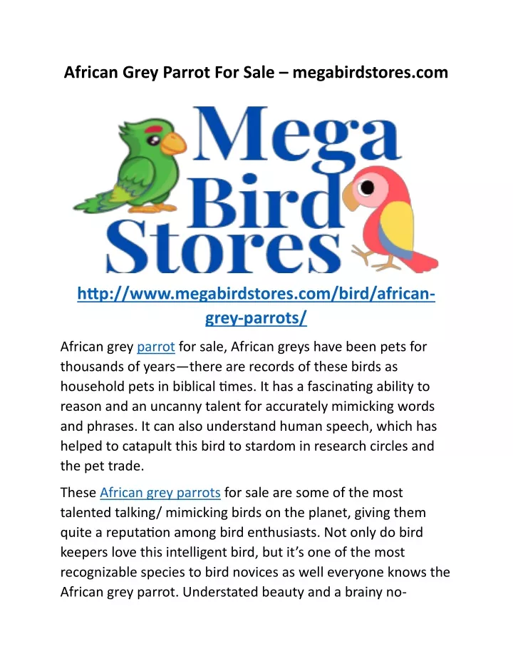 african grey parrot for sale megabirdstores com