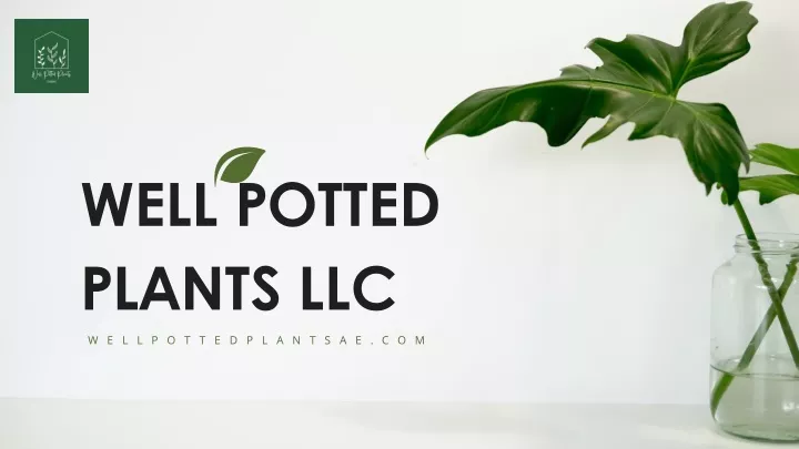 well potted plants llc