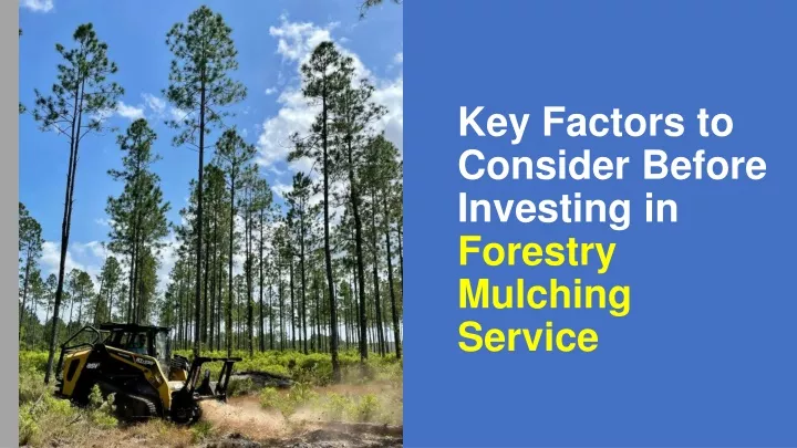 key factors to consider before investing in forestry mulching service