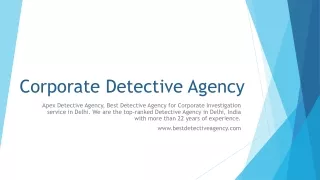 Corporate Detective Agency