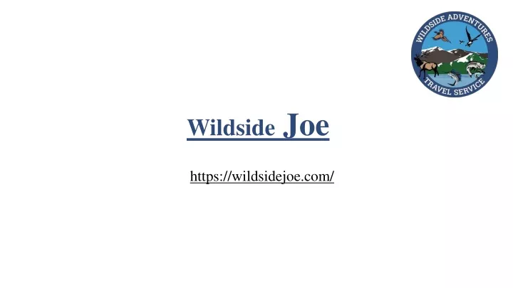 wildside joe