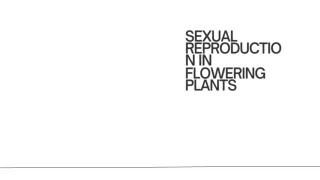 sexual reproduction in floweing plants - Presentation